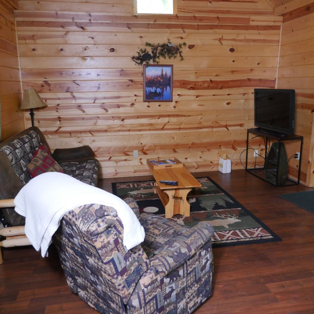 Cabin in the woods gallery image 3