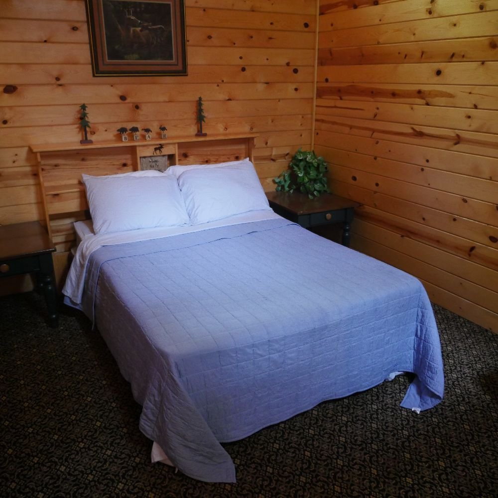Cabin in the woods gallery image 1